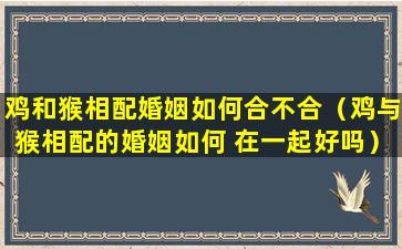 鸡和猴相配婚姻如何合不合（鸡与猴相配的婚姻如何 在一起好吗）